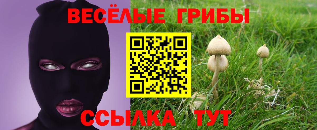 как найти закладки  Галлюциногенные грибы MAGIC MUSHROOMS  Губкинский  Вход с VPN  Псилоцибиновые грибы Psilocybine cubensis 